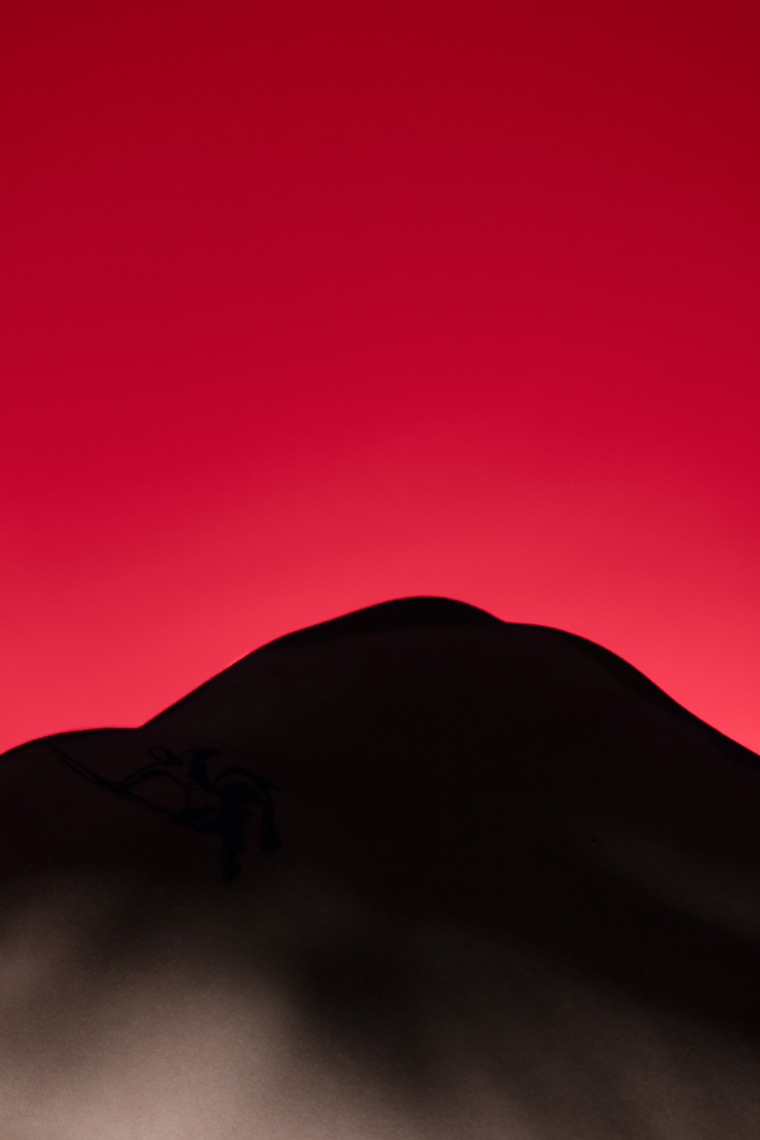 Felix Ossa - Andes - Photography Installation - Abstract form of a mountain